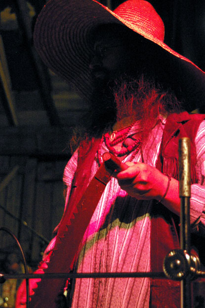 20. JI�� SVIN� FIALA ZA DOPROVODU KATROV� PILY